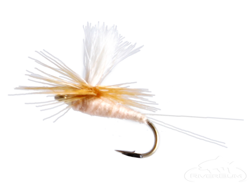 Pink Albert, Parachute