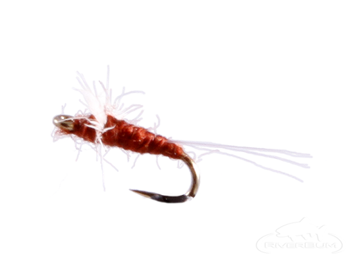 Rusty Spinner, Hen Wing 