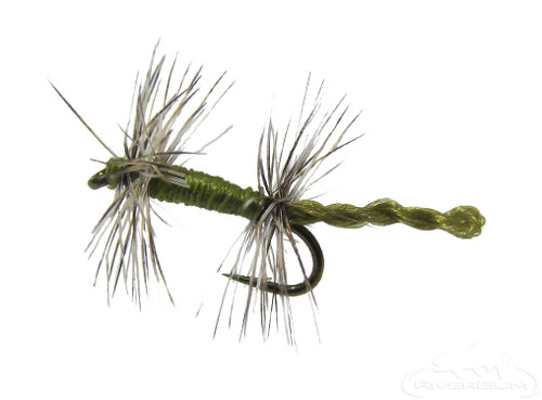 Double Midge, Olive