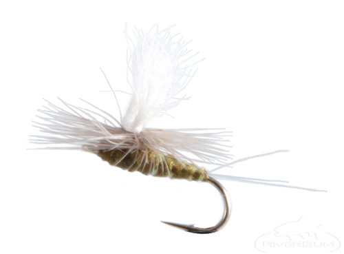 Blue Winged Olive Para Wulff
