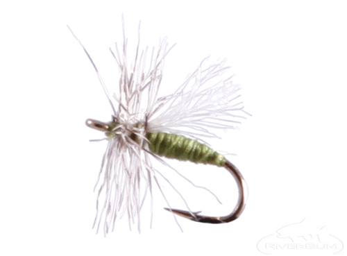 Midge, Xelon, Olive 