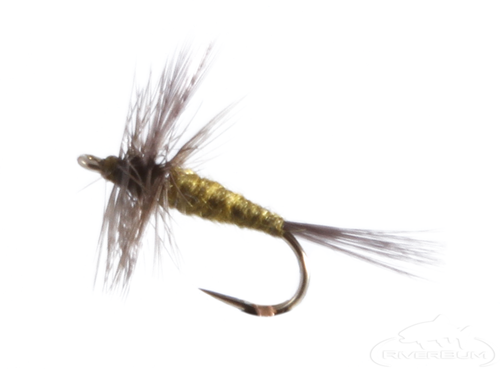 Blue Winged Olive | BWO Nymph | RiverBum Fly Fishing Flies