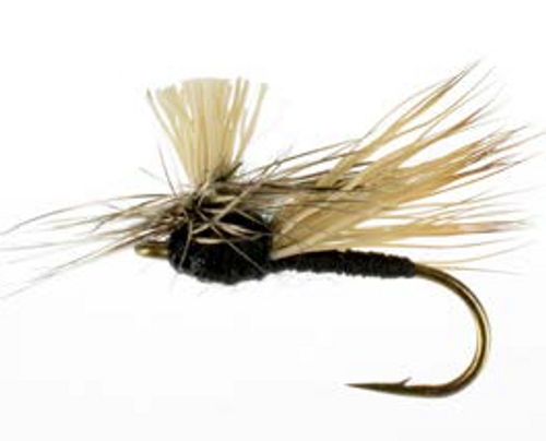 Adult Midge, Black