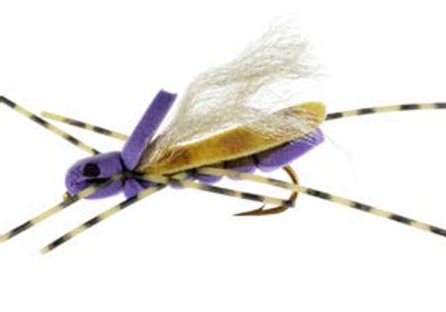 Clodhopper Purple