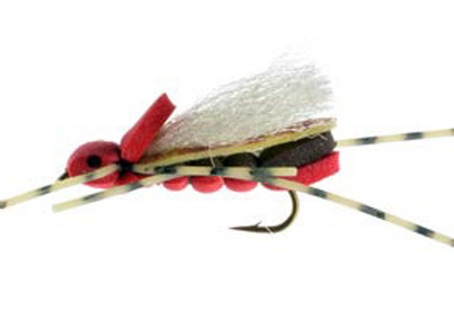Clodhopper, red