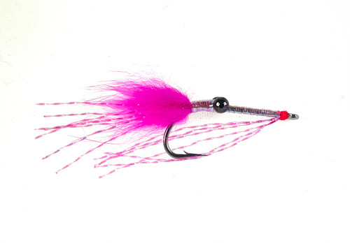 Shallow Water Shrimp