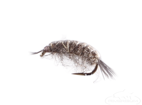 Pocket Lint Sow Bug Trout Fishing Fly Lure Nymph Fly Patterns Sowbug and  Scud Fly Patterns Fisherman Gift 3 Pack of Flies -  Denmark