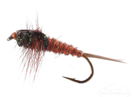 Stonefly Nymph, Birds Nest