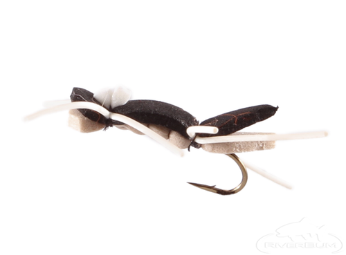 Ant, Chernobyl 