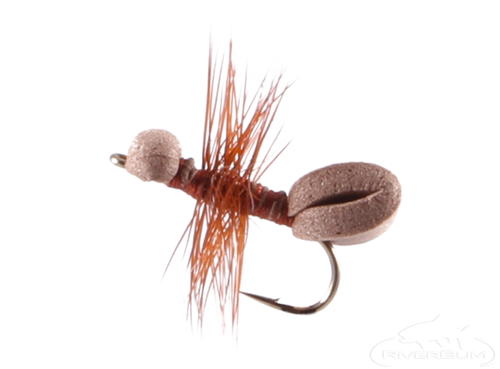 Ant, Foam, Brown