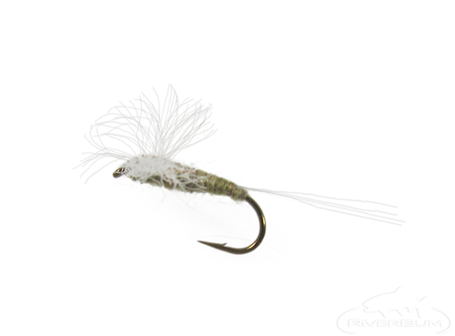 Callibaetis, Spinner, Xelon