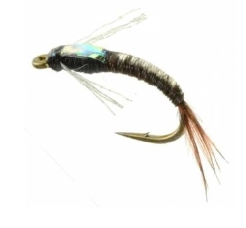 Jujubaetis Flashback Emerger 