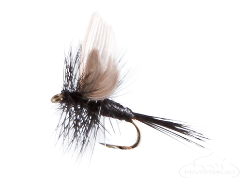 Dry Trout Flies, 24 black Spider,Gnats, Midge & Ant, For Fly Fishing Choice