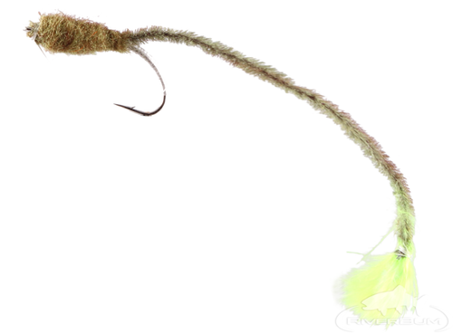 V-Worm, Olive