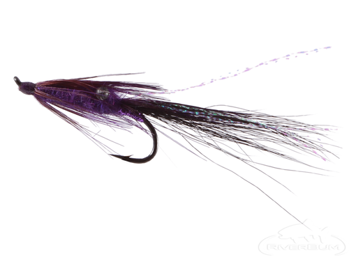 Prawn, Purple