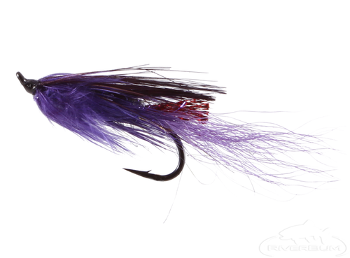 General Practitioner, Purple 