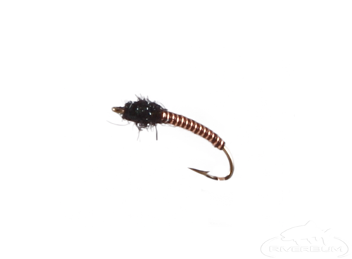Brassie, Bi-Color, Copper-Black