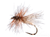 Partridge Caddis