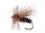 Peacock Caddis
