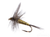 Blue Winged Olive Traditional