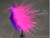Marabou, Showgirl, Conehead