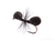 Ant, Foam, Black 