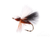 Ant, CDC, Cinnamon