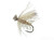 Spruce Moth