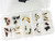 Caddis Fly Life Cycle Assortment - 30 Piece