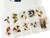 Dry Fly Attractor Stimulator Assortment - 30 Piece