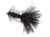 Wooly Bugger, Peacock-Black Wooly Bugger, Peacock-Black