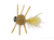 Crab, Raghead, Tan