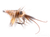 Shrimp, Salt, Gold