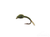WD40, Olive