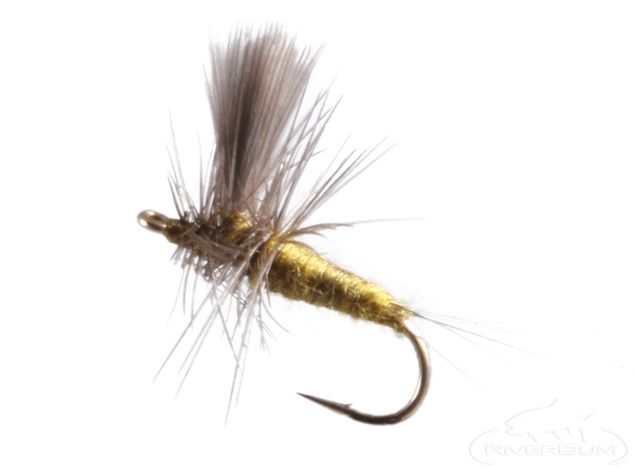 Blue Winged Olive, Thorax - Trout Fly Fishing Flies | RiverBum.com