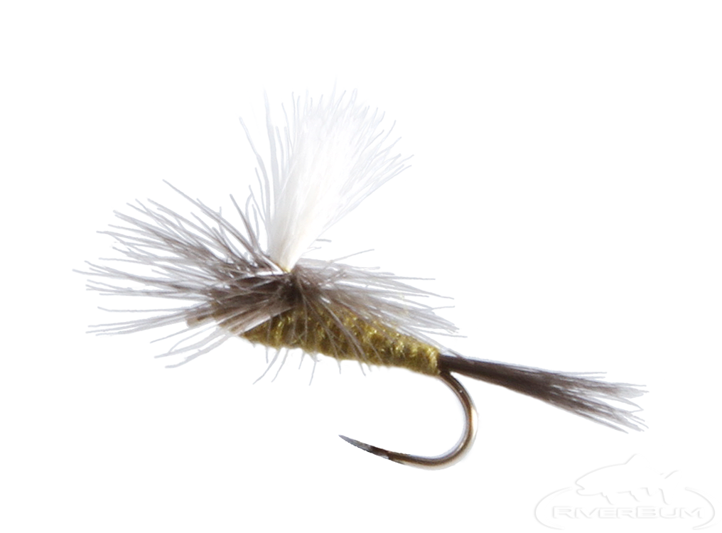 Olive VISIO J - , fly tying, matériaux, accessoires montage