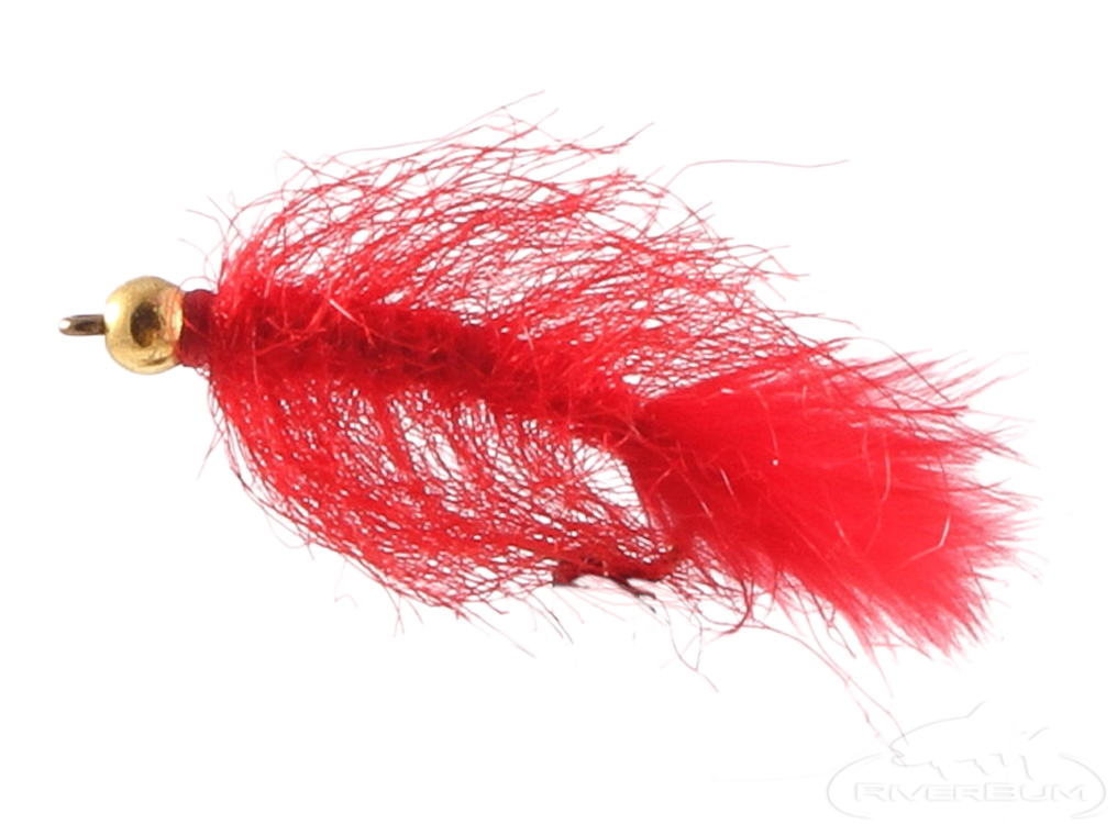 Fishing Lures - 4PCS #6 Brass Bead Head Blood Sucking Black Leech Fly Trout  Fly Fishing Leech Streamer red Flasher Tail Fly Fast Sinking : :  Sports & Outdoors