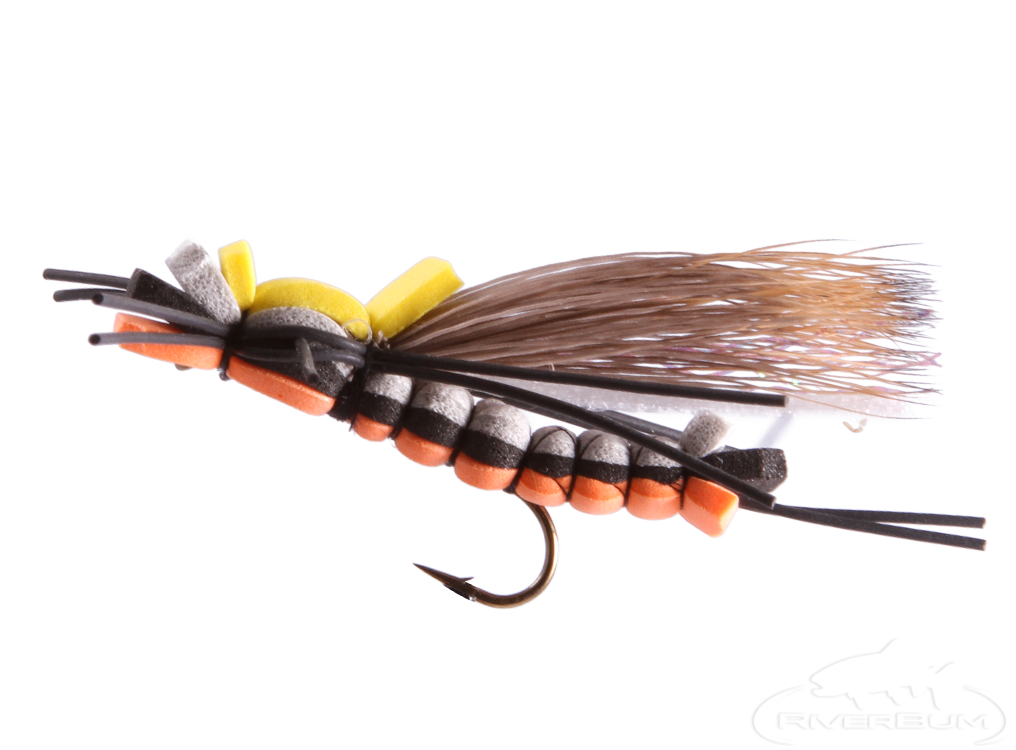 King Kong, Salmon Fly, Stonefly Adult