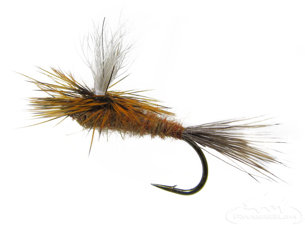 Brindle Chute Riverbum Signature Dry Fly
