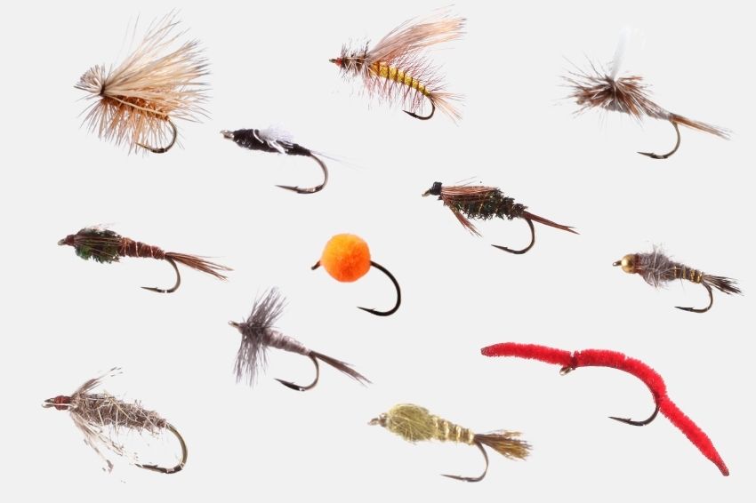 10 Basic Fly Fishing Flies For Beginners