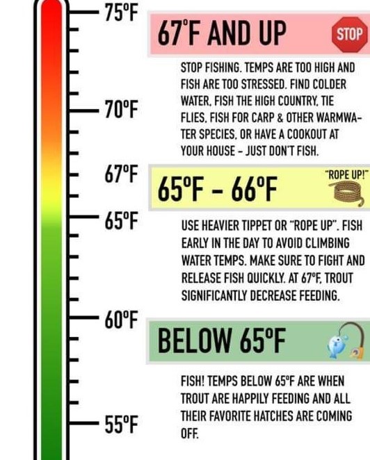 How Water Temperature Affects Your Fishing