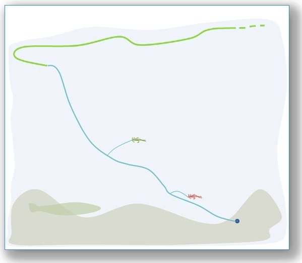 Drift/Bouncing Rig for Salmon/Steelhead