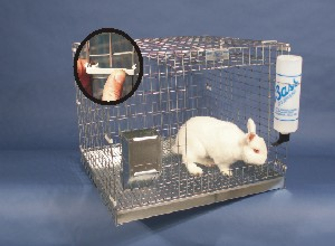 rabbit starter cage