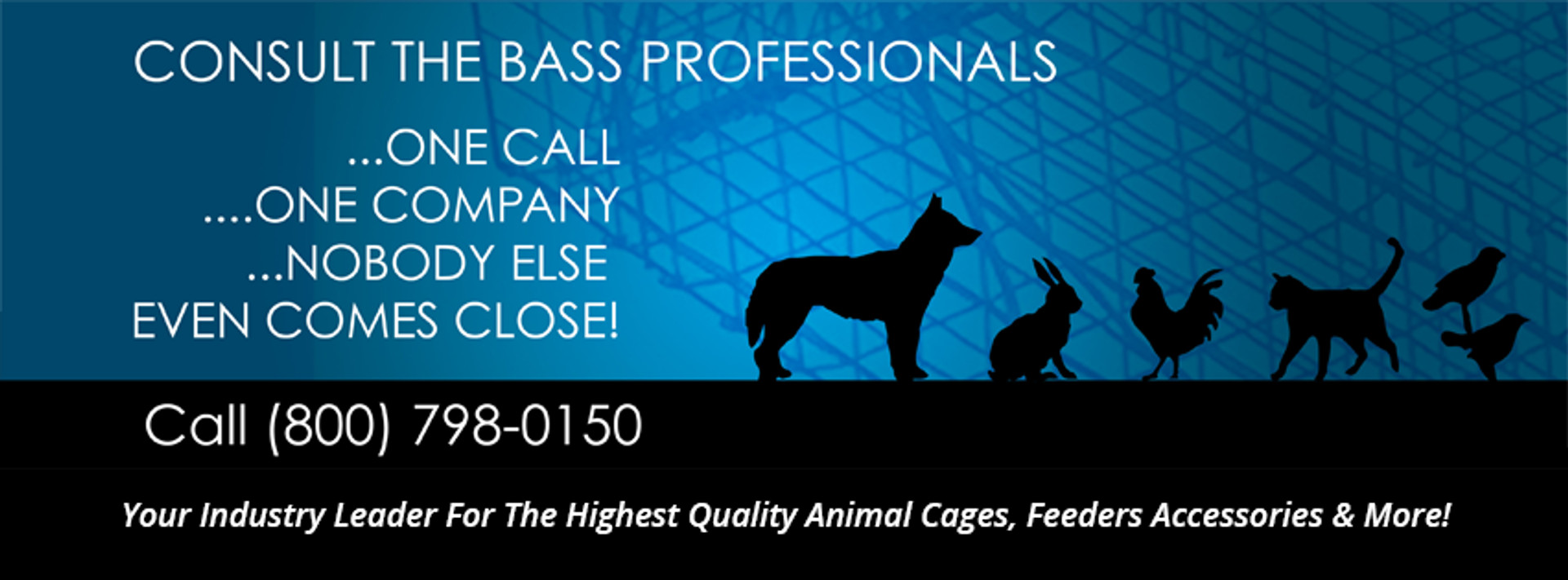 bass rabbit feeders
