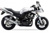 Yamaha FZS600 Fazer 1998-2003 IXIL Xtrem Stainless HEXOVAL Slip-on Exhaust - product photo 1