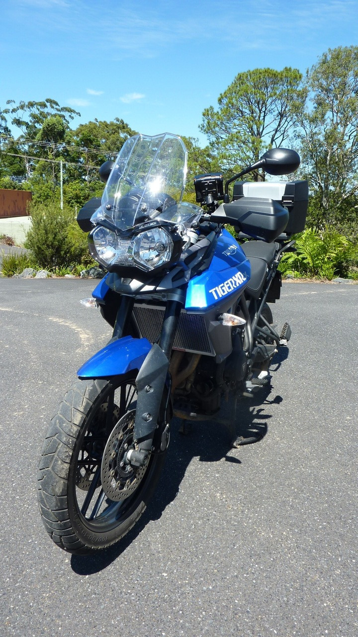 Triumph Tiger 800 XC / XC-X / XCA 15-22 Radiator Guard