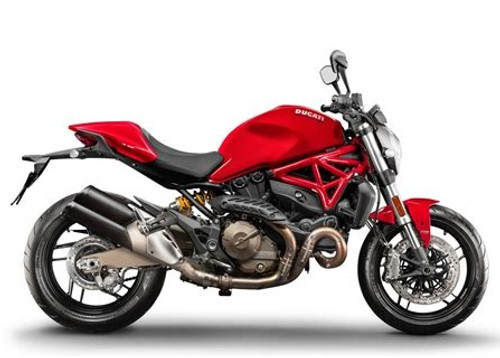 Ducati Monster 821 / Dark / Stripe 2014-2023 Radiator Guard