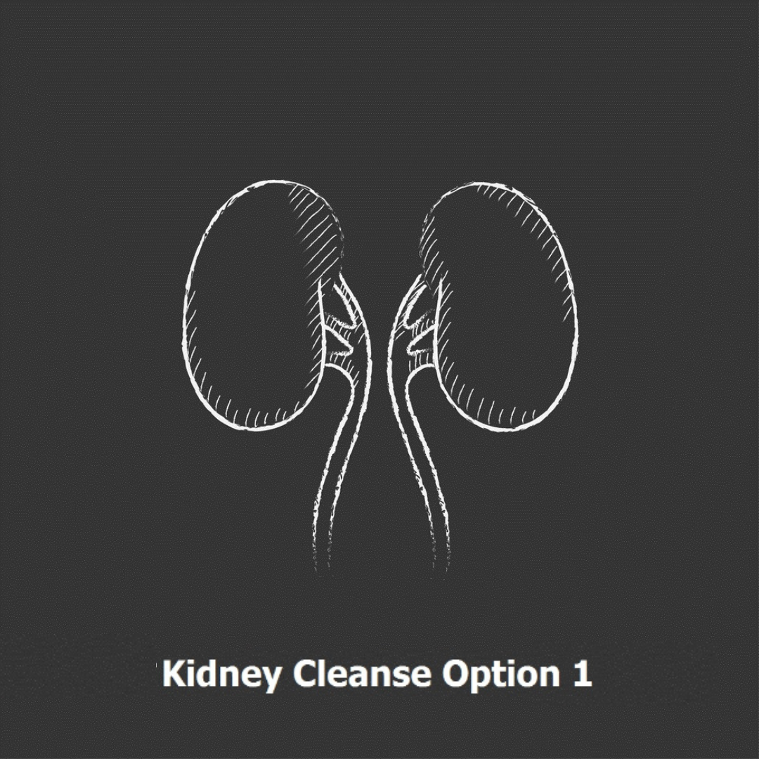 Kidney Cleanse Option 1 Spirit of Health Store