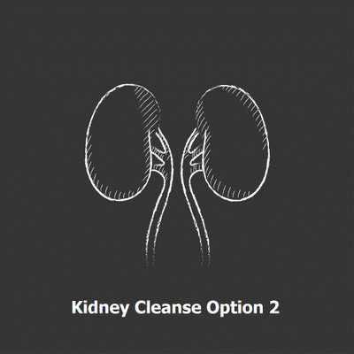 Kidney Cleanse Option 2