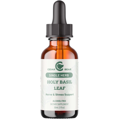 Cedar Bear® Holy Basil Leaf